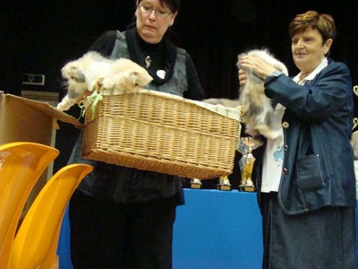20121021_171 (Expo)